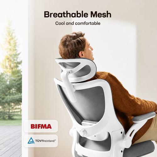 Ergonist Align Desk Chair