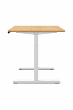 Ergonist Rise Standing Desk - 40" - Oak