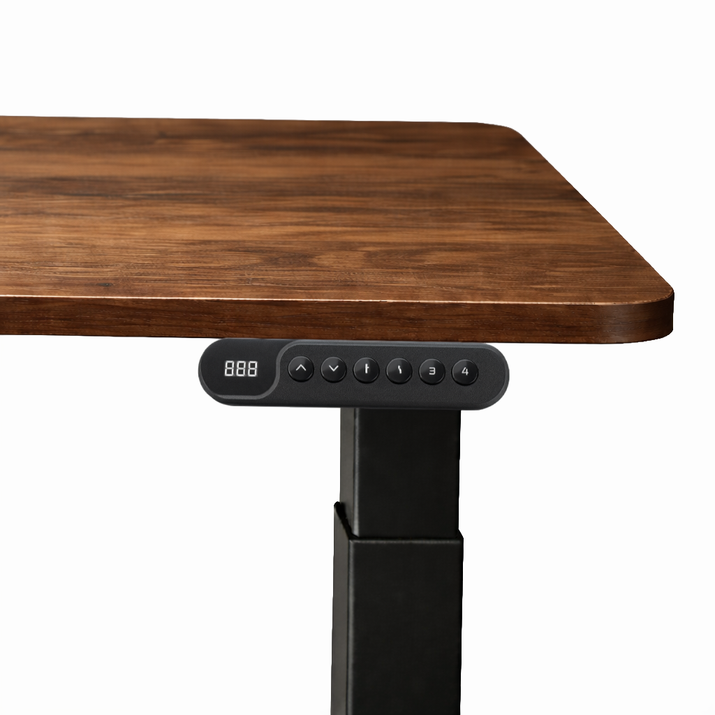 Ergonist Rise Standing Desk - 55" - Walnut