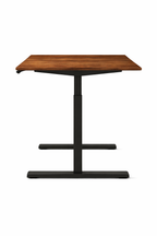 Ergonist Rise Standing Desk - 55" - Walnut