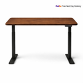 Ergonist Rise Standing Desk - 55" - Walnut