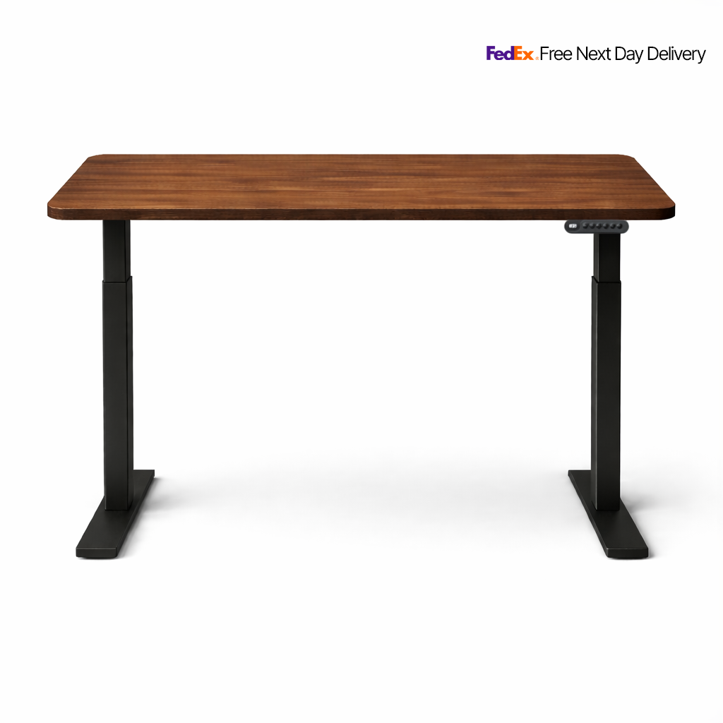 Ergonist Rise Standing Desk - 55" - Walnut