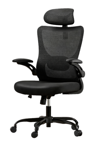 Ergonist Align Desk Chair