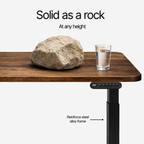 Ergonist Rise Standing Desk - 55" - Rustic