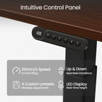 Ergonist Rise Standing Desk - 55" - Walnut
