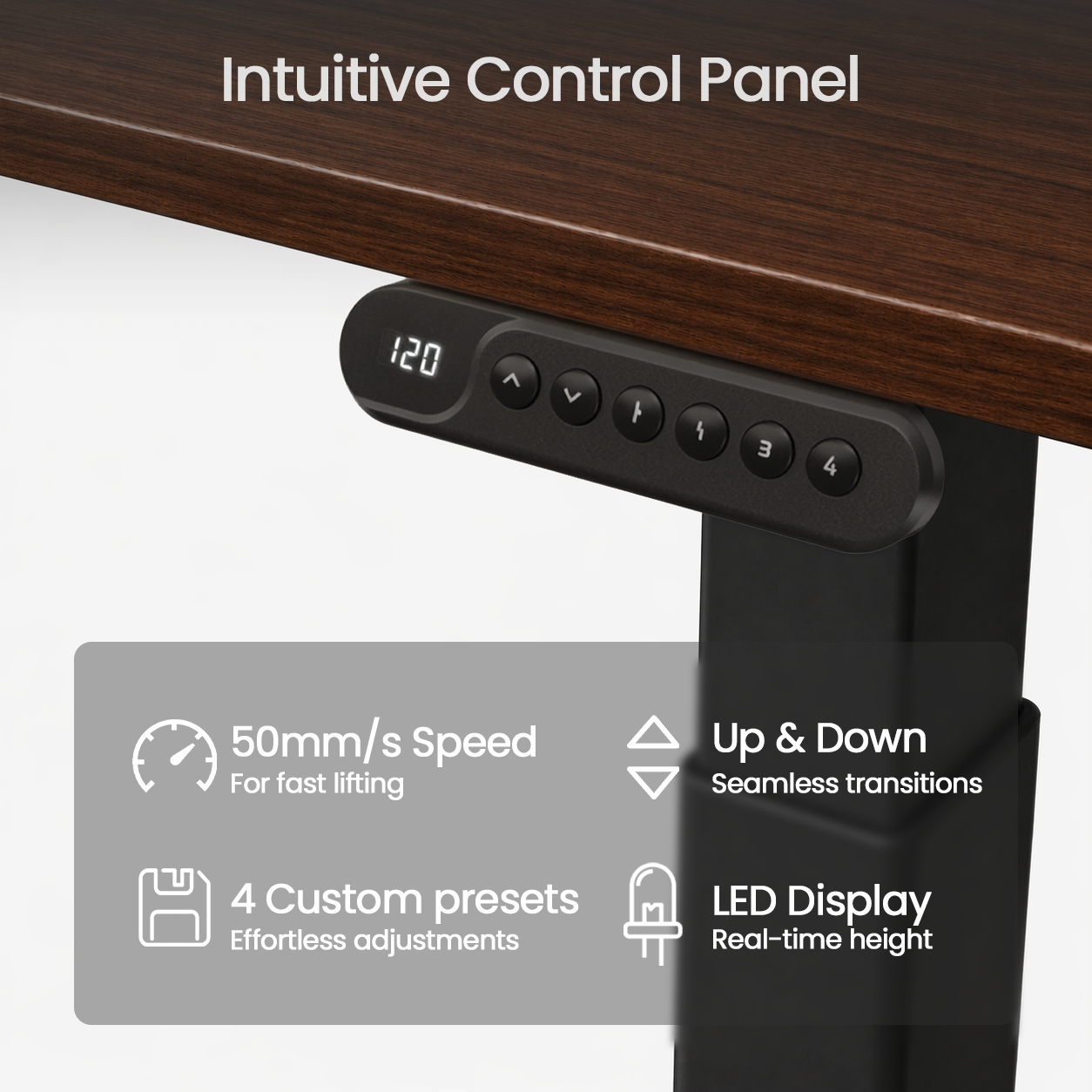 Ergonist Rise Standing Desk - 55" - Walnut